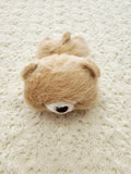 Beanbag Teddies