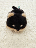 Beanbag Teddies