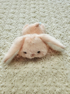 Beanbag Teddies