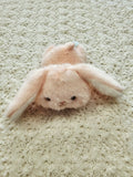 Beanbag Teddies
