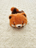 Beanbag Teddies