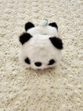 Beanbag Teddies