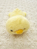 Beanbag Teddies