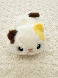 Beanbag Teddies